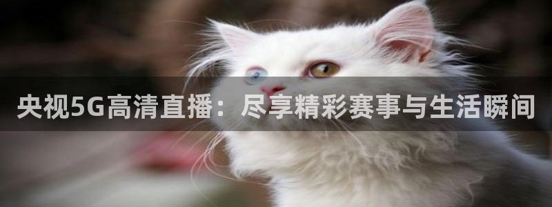 熊猫体育直播平台：央视5G高清直播：尽享精彩赛事与生活瞬间
