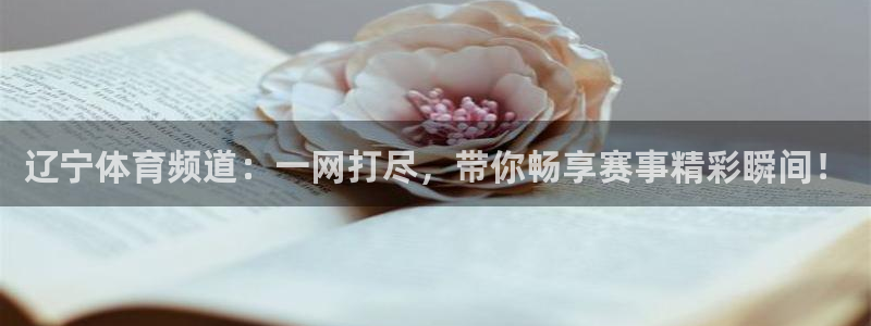 熊猫官网在线直播：辽宁体育频道：一网打尽，带你畅享赛事精彩瞬间！