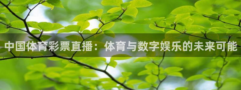 熊猫直播平台官网：中国体育彩票直播：体育与数字娱乐的未来可能