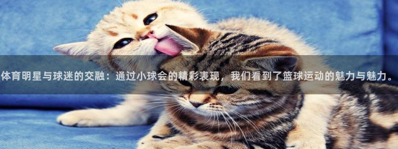 熊猫体育平台：体育明星与球迷的交融：通过小球会的精彩表现，我们看到了篮球运动的魅力与魅力。