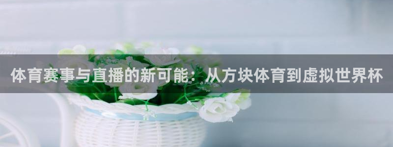 熊猫体育直播新版.新网页.org：体育赛事与直播的新可能：从方块体育到虚拟世界杯