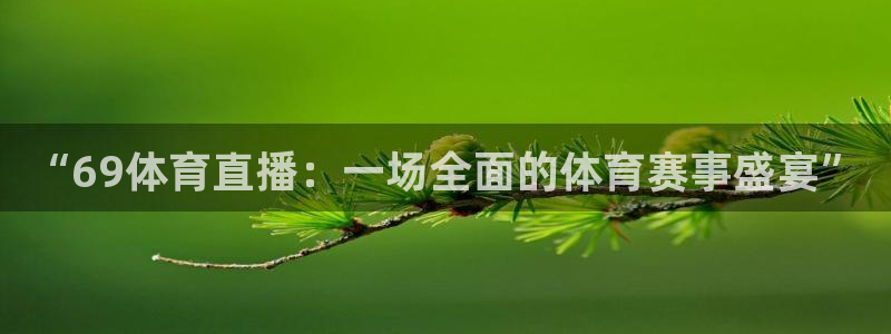 熊猫体育：“69体育直播：一场全面的体育赛事盛宴”