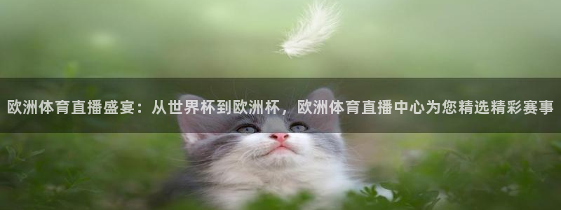 熊猫猫直播：欧洲体育直播盛宴：从世界杯到欧洲杯，欧洲体育直播中心为您精选精彩赛事
