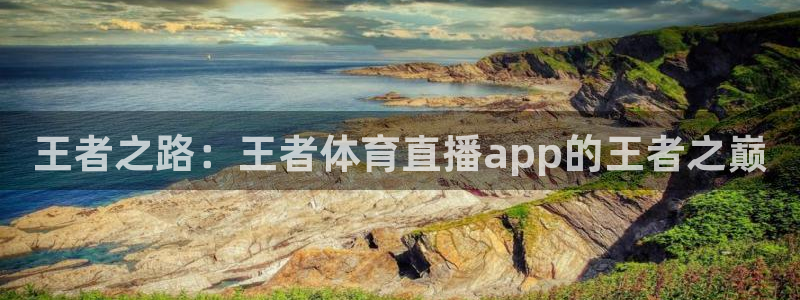 熊猫体育直播nba：王者之路：王者体育直播app的王者之巅