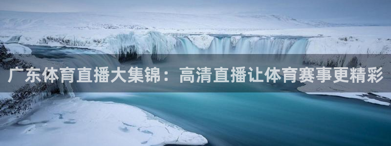 熊猫户外直播：广东体育直播大集锦：高清直播让体育赛事更精彩